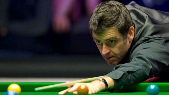 6年捧杯 6年捧杯